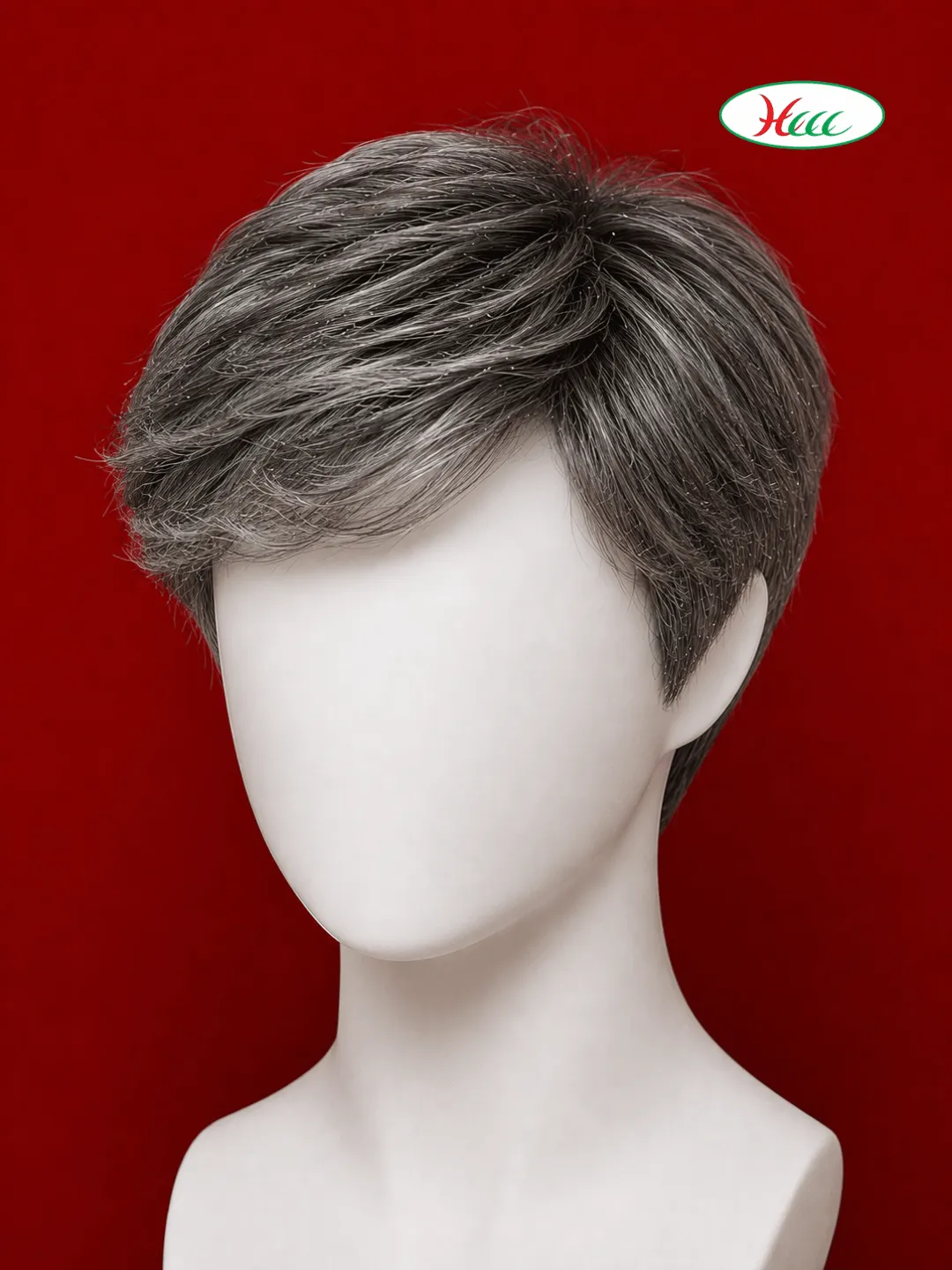Salt & Pepper Men's Wig — distinguished grey coverage at HCCC Coimbatore